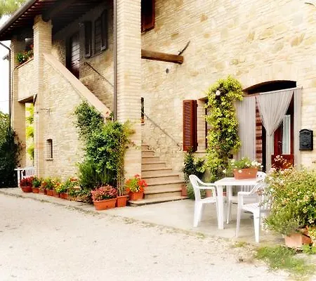 Bellarosa Assisi