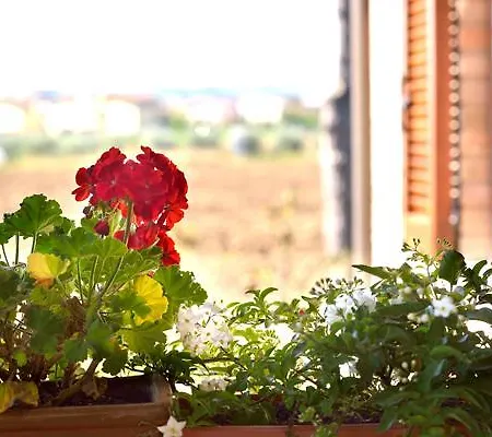 Agriturismo Bellarosa Фермерский дом *