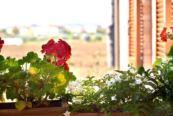 Agriturismo Bellarosa Фермерский дом *